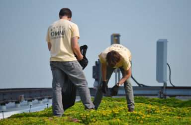 roofer, green roof